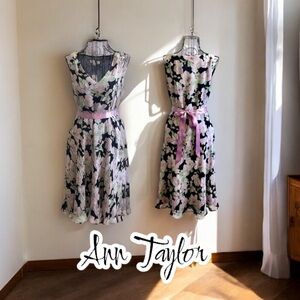 Ann Taylor
